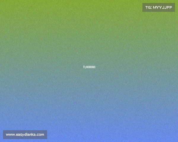 fly飞牛在哪个队