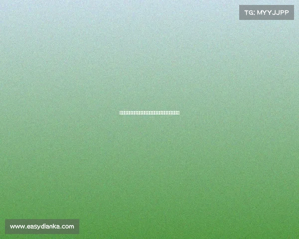 《高中生电竞特长生备考指南：解锁考点与通关秘籍》